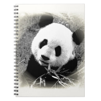 Panda Eyes Notebook