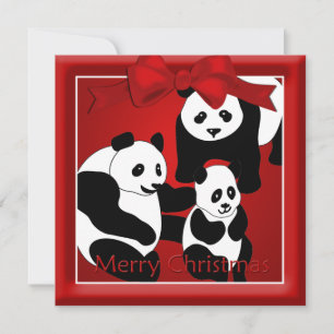 Panda Family of Three  Christmas Greeting Holiday Card