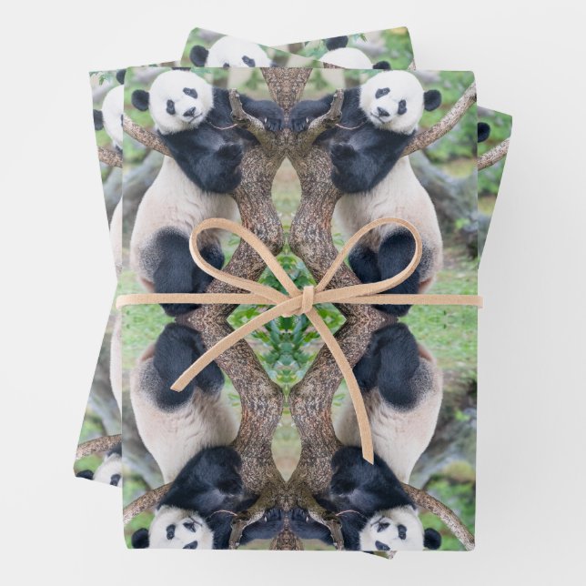 Panda géant dans une feuille de papier d'enveloppe (En situation)