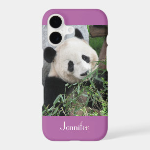 panda géant de cas de l'iPhone 7, pourpre,