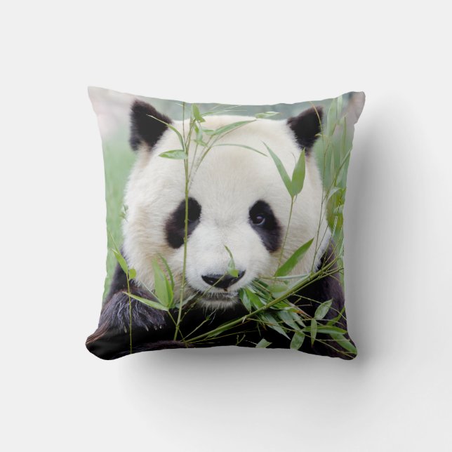 Panda géant de la photo coussin 4. (Recto)