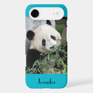 Panda géant mignon, Arrière - plan bleu, Nom