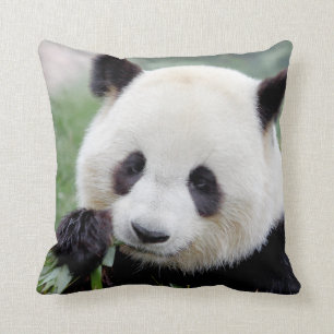 panda géant photo coussin 1.