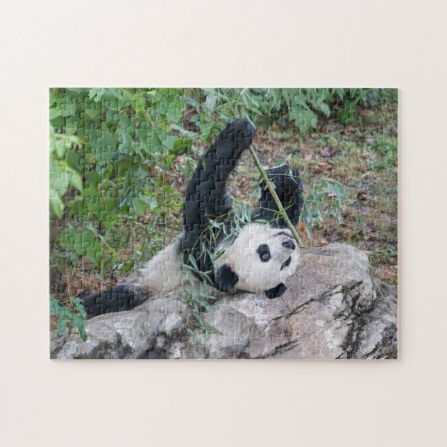 Panda Géant Profitant Du Puzzle De La Vie (Horizontal)