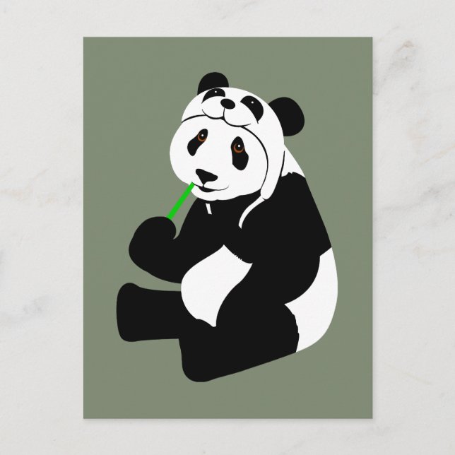 Panda Hat Postcard (Front)