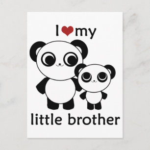 Panda - I love my little brother Postcard