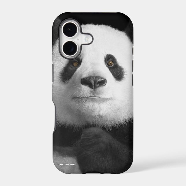 Panda image for iPhone-5-5S-Barely-There (Back)