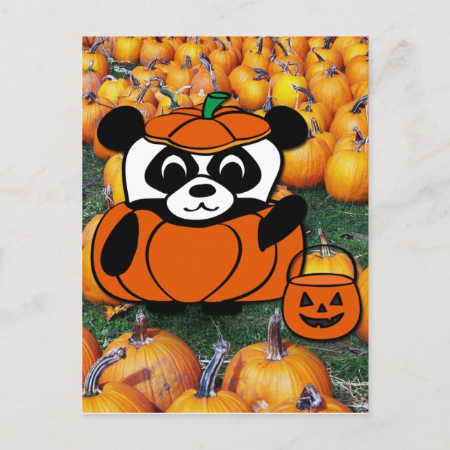 Panda in Devil Costume at Haunted Corn Maze Postcard (Front)