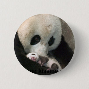 Panda kissing cub 2 inch round button