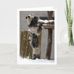 panda lift card