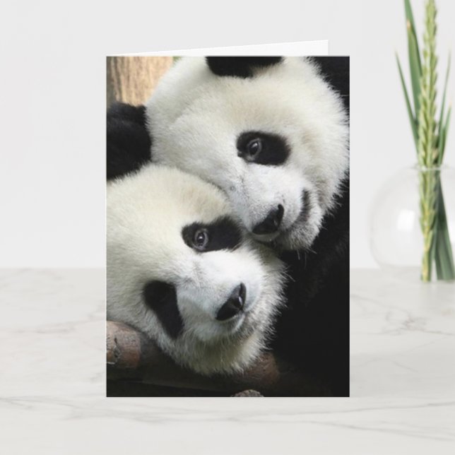 Panda Love Valentine's Day Card (Front)