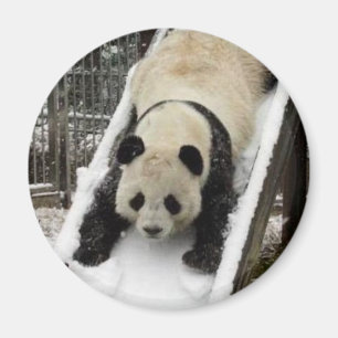 panda magnet