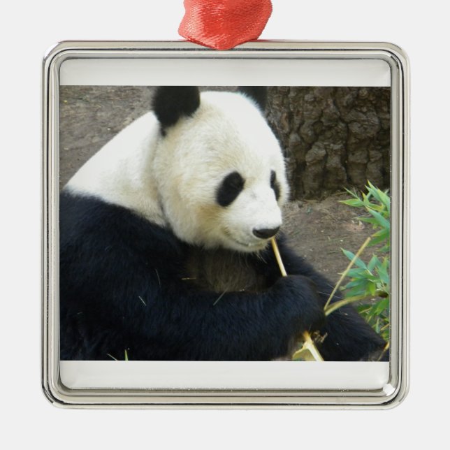 Panda Metal Ornament (Front)