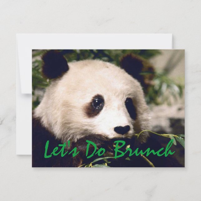 Panda Munching Greens INVITATION ~ EZ2 PERSONNALIS (Devant)