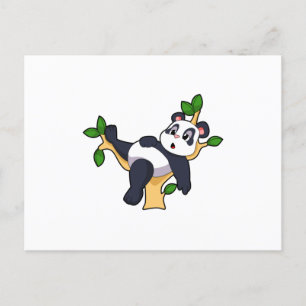 Panda on Tree Postcard
