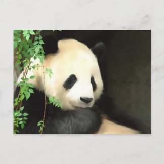 Panda Painting Postcard