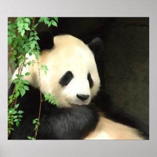 Panda Painting Poster