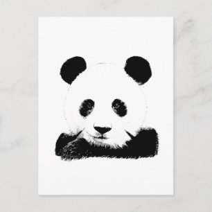 Panda Peeks Out Postcard