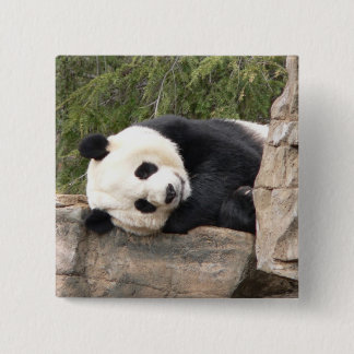 Panda Pin