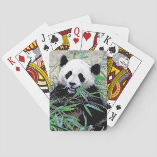 Panda Playing Cards
