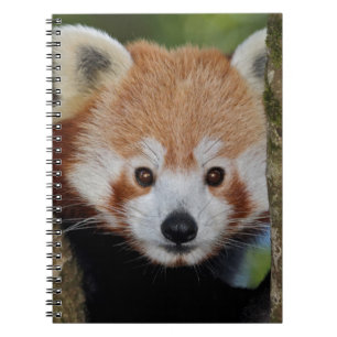 Panda Portrait Notebook