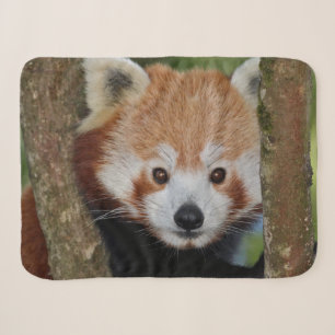 Panda Portrait Sherpa Blanket