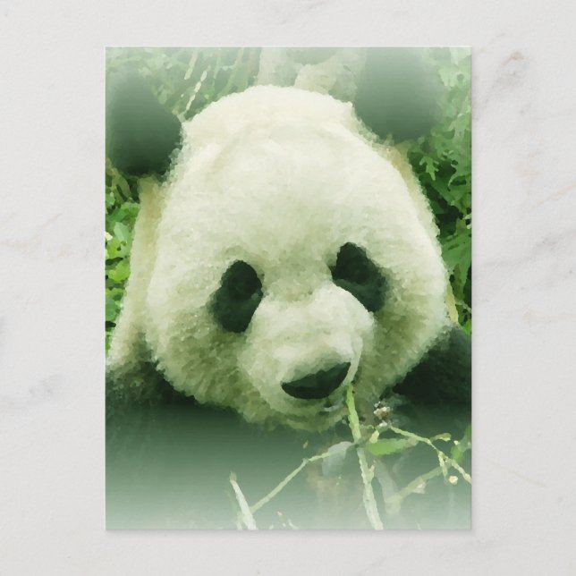 Panda Postcard (Front)