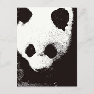 Panda Postcard
