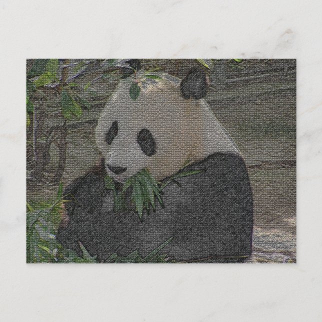 PANDA POSTCARD (Front)