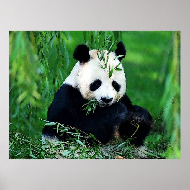 Panda Posters Prints - Panda Eating Leaves Poster (Front)