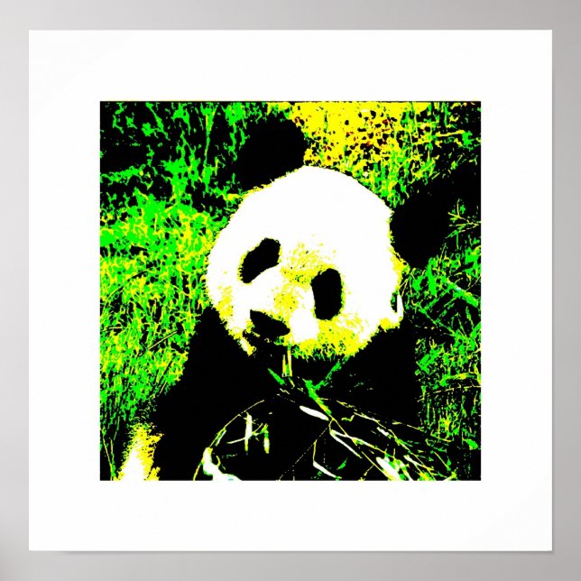 Panda Posters Prints - Panda Eating Poster (Front)