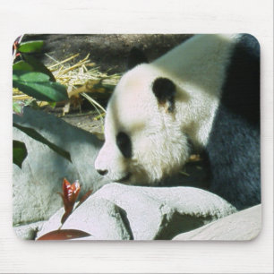 panda profile mouse pad