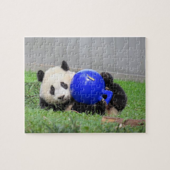 Panda puzzle - Xiao Qi ji, le petit miracle (Horizontal)