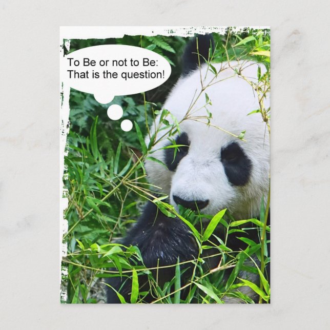 Panda Quote Animal Template Trendy Modern Postcard (Front)