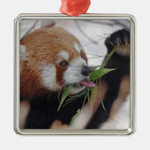 panda red animal print cute metal ornament