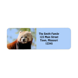 Panda rouge
