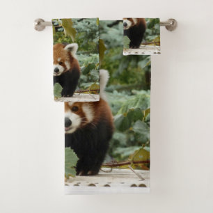 Panda rouge