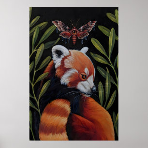 Panda roux et papillon de nuit - Impression Giclee