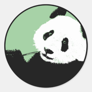 panda. seagreen circle. classic round sticker