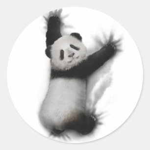 Panda Shirt Humourous Graphic Animal T-Shirt Gifts Classic Round Sticker
