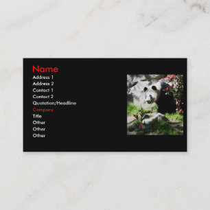 Panda Smile Cartes de visite