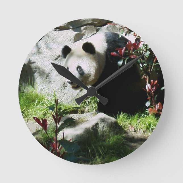 Panda Smile Wall Horloge (Recto)