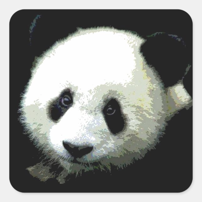 Panda Square Sticker (Front)