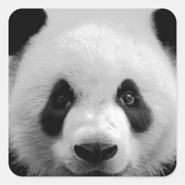 Panda Square Sticker (Front)