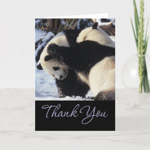 Panda Thank You Cards