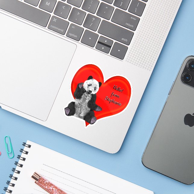 Panda With A Message (Laptop w/ iPhone)