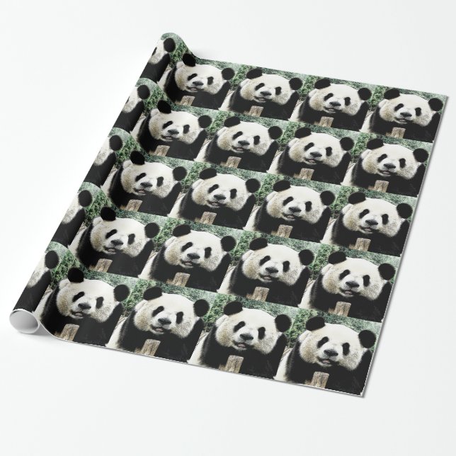 Panda Wrapping Paper (Unrolled)