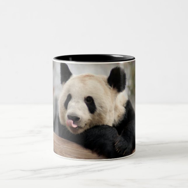 PandaM021 Two-Tone Coffee Mug (Center)