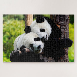 Pandas de bébé jouant, Puzzle Jigsaw