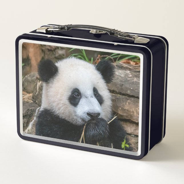 Pandas géant Mei Xiang et Xiao Qi Ji Lunch Box (Dos)